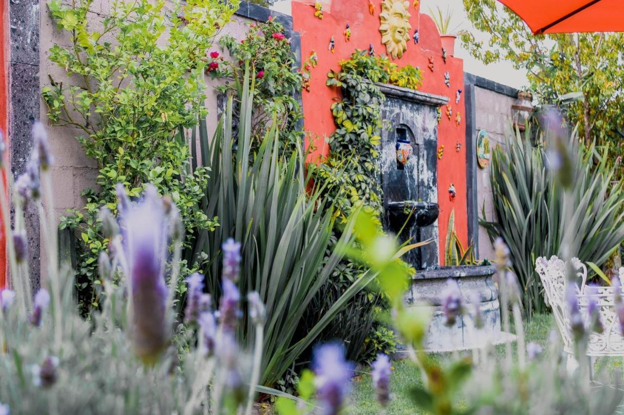 Casa Loteria Bed & Breakfast San Miguel de Allende Ngoại thất bức ảnh